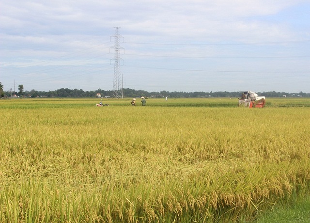 Quảng Nam: Nông nghiệp thông minh giúp bảo vệ môi trường