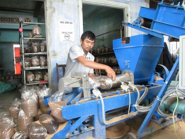 Người giúp nhân rộng nghề trồng nấm ở Hòa Vang
