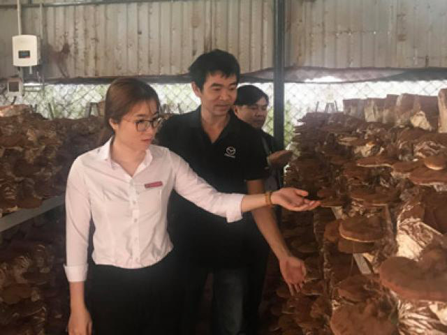 phat-trien-nghe-trong-nam-9758-159218579