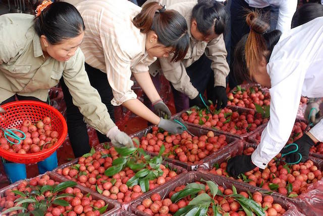vai-thieu-sang-Trung-Quoc-9756-159218795