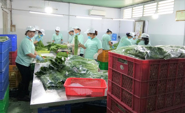 Xuân Thới Sơn ‘nở hoa’ cùng HTX