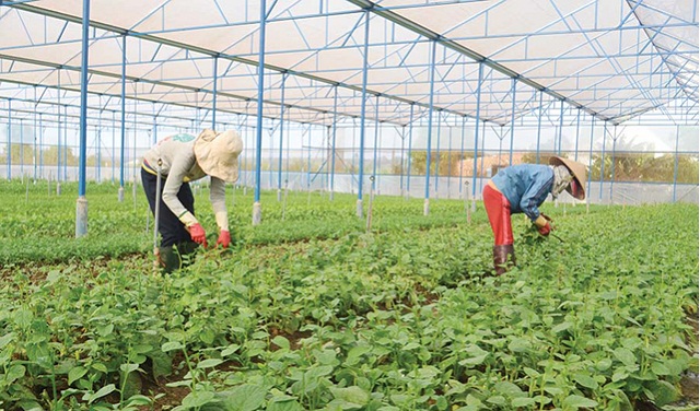 Yên Mỹ giải bài toán môi trường trong xây dựng huyện nông thôn mới