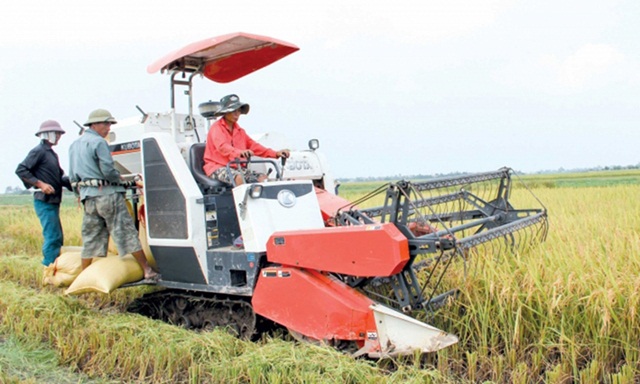 Thái Bình: Gắn nông thôn mới với tái cơ cấu nông nghiệp