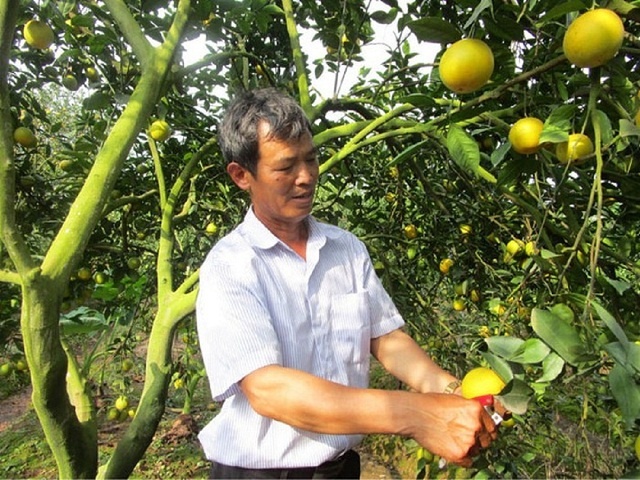 Cam-Dong-Thanh-4967-1592450599.jpg