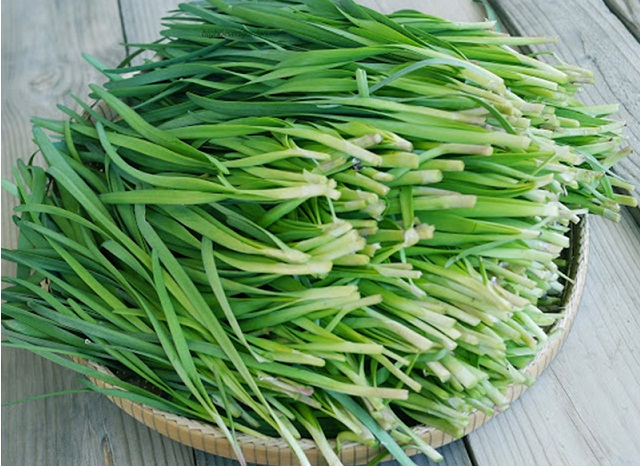 Khánh Hoà: Liên kết trồng hẹ, nhẹ mối lo kinh tế