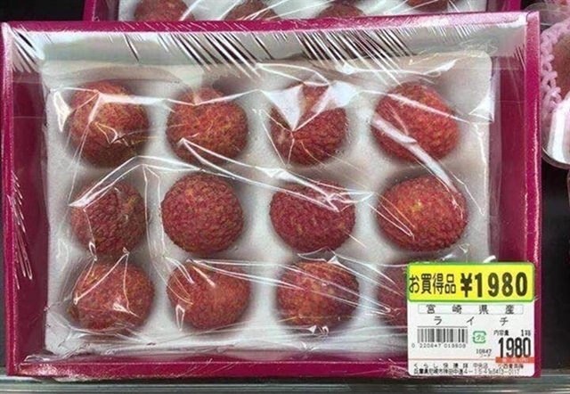 Bắc Giang xuất khẩu lô vải thiều đầu tiên sang Nhật