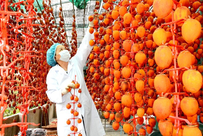 Đồng lòng phát triển thương hiệu Hồng Đà Lạt