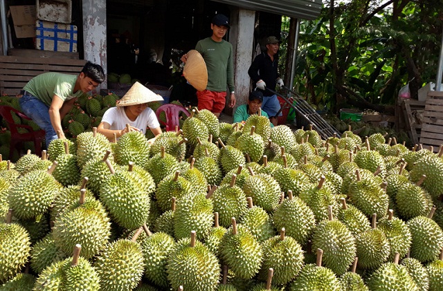 Rộng mở đầu ra nhờ sản xuất thân thiện môi trường