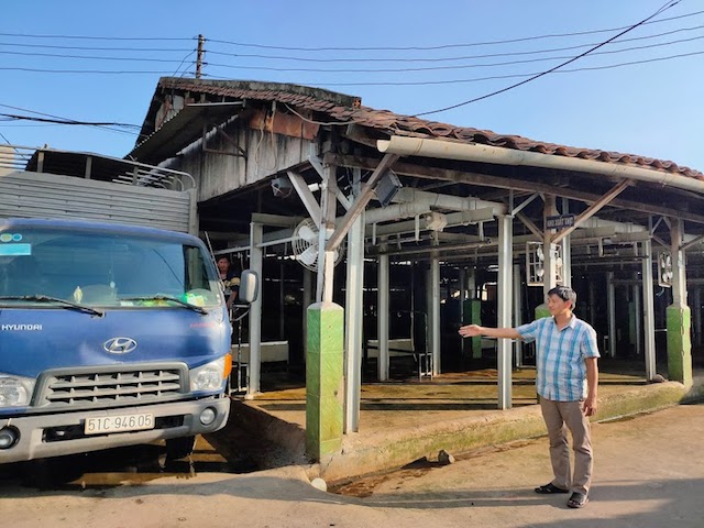 Hỗ trợ phát triển HTX: Câu chuyện ở Bình Hoà