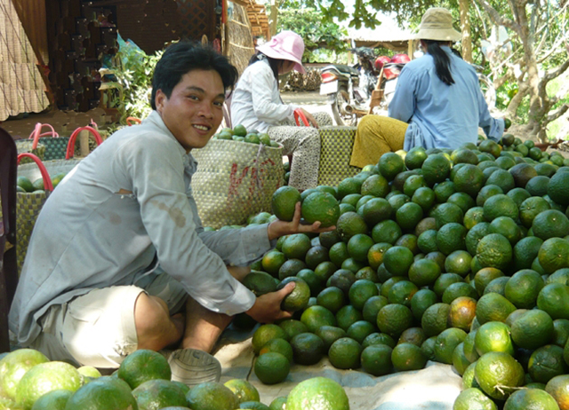 Gia tăng thu nhập, làm giàu bền vững từ chuyển đổi cây trồng