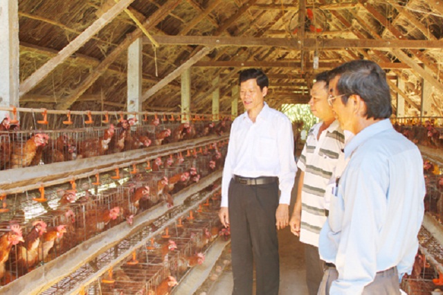 'Trứng gà Văn Học' khẳng định thương hiệu trên thị trường