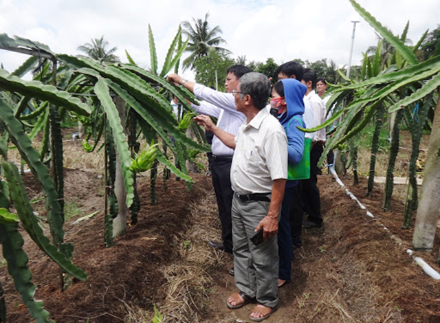 Hợp tác 'khoác áo xanh' cho Tam Bình