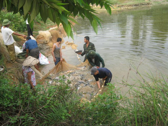 HTX Gia Minh vươn lên từ mô hình liên kết nuôi thuỷ sản