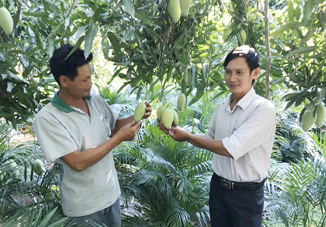 Vĩnh Long định hướng phát triển HTX nông nghiệp sạch