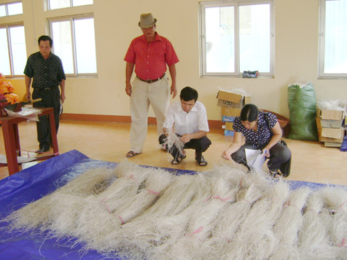 Nguyên Bình: Xóa đói giảm nghèo từ chuyển đổi cơ cấu cây trồng