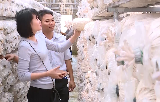 Đồng Nai chú trọng dạy nghề trên vùng nguyên liệu