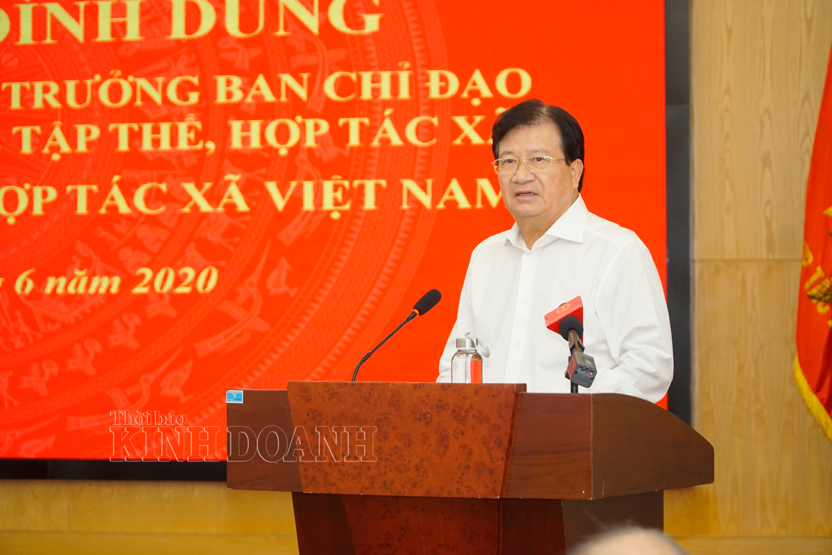 Liên minh HTX Việt Nam là 'ngôi nhà chung' giúp HTX, THT lớn mạnh