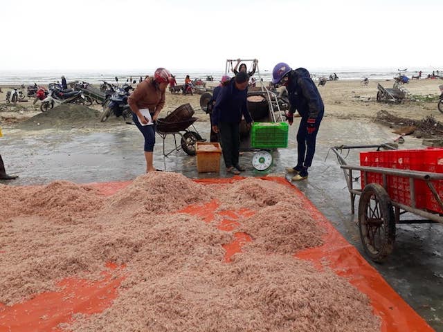 HTX thuỷ sản Chiến Thắng: ‘Bà đỡ’ giúp người dân thoát nghèo