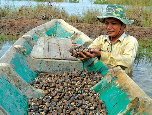 nuoi-so-huyet-o-ca-mau-9398-1593408873.j