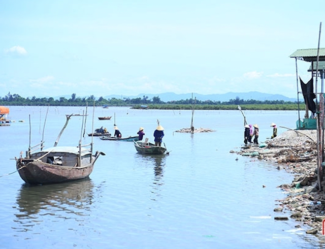 HTX thu lãi hàng chục tỉ đồng từ nuôi ngao