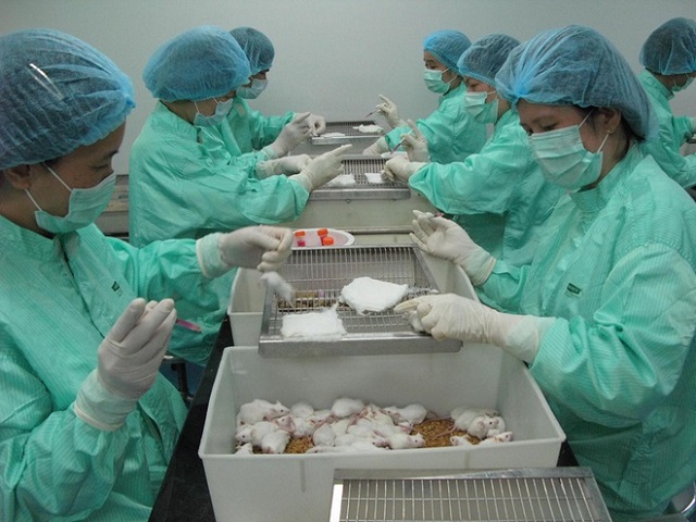Việt Nam thử nghiệm thành công vắc-xin Covid-19 trên chuột