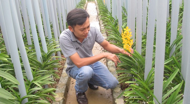Đất Thủ thêm tươi với HTX hoa lan