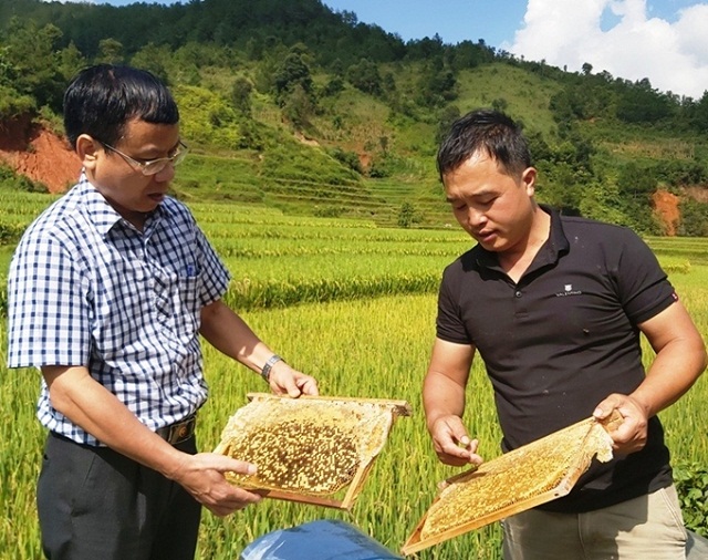 Nông thôn mới 'khoác áo mới' cho Dế Xu Phình