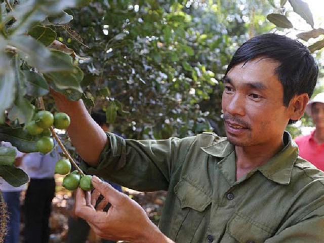Kinh nghiệm thoát nghèo trên vùng đất Tuần Giáo