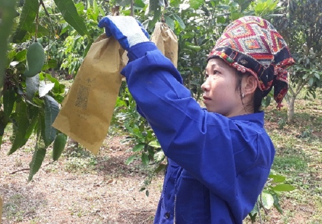 bao-tui-7025-1593576707.jpg