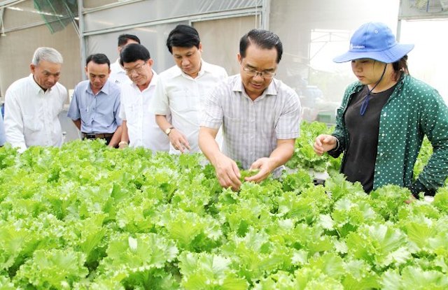 Chăm học nghề, nông dân Long An quyết thay đổi cuộc sống