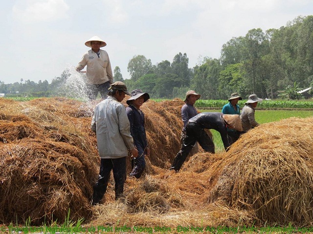Đồng Tháp: HTX đồng hành cùng nông dân phát triển kinh tế xanh