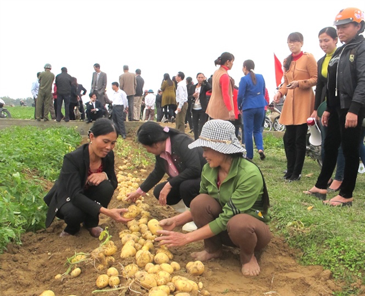 Được học nghề, nông dân Thái Bình mạnh dạn 'làm ăn lớn'