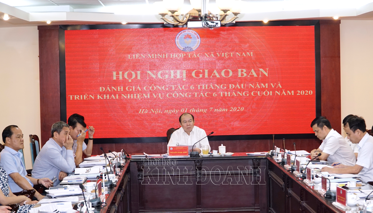 Sức bật mới của khu vực kinh tế hợp tác, HTX