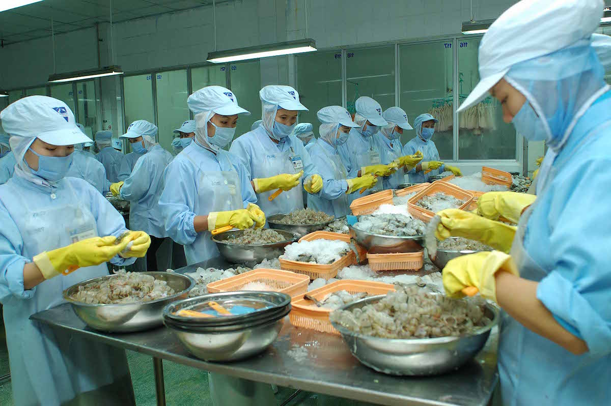 Doanh nghiệp thủy sản 'kêu cứu' vì bị áp thuế TNDN 20%