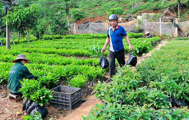 Sốp Cộp tiếp tục nâng cao các tiêu chí nông thôn mới