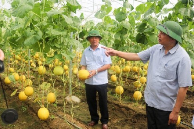 NTM ở Hoằng Hoá: Chuyện về miền quê đáng sống
