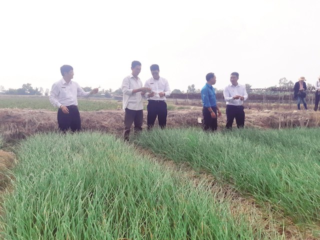Kiên Giang tạo cơ hội việc làm cho người nghèo