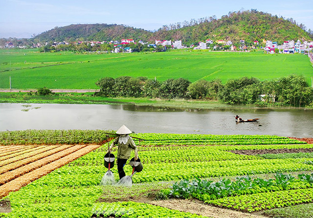 Nông nghiệp an toàn, động lực để Hà Nam bứt phá