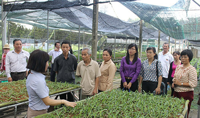 Nong-dan-TP-HCM-dang-hoc-tap-m-9532-7295