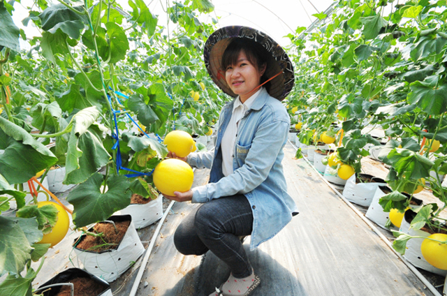 Nông thôn mới bứt lên trên nền tảng nông nghiệp hiện đại