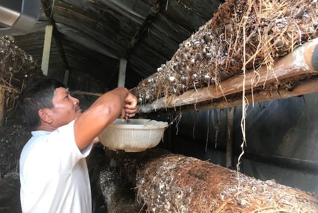 Ấn tượng hiệu quả dạy nghề cho nông dân ở Đà Nẵng
