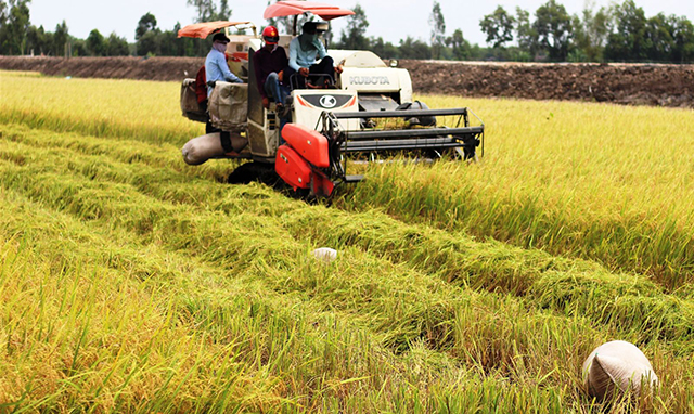Nâng cao hiệu quả sản xuất nông nghiệp nhờ cơ giới hóa gắn với an toàn lao động