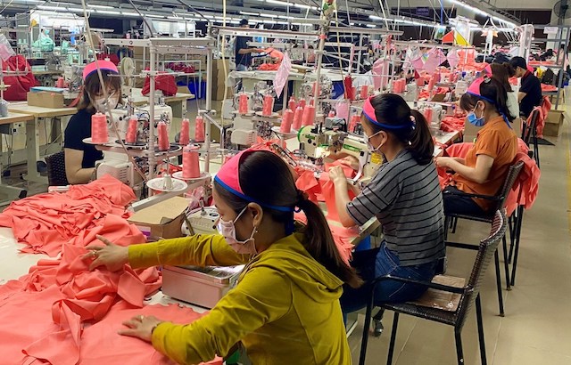 Số lượng doanh nghiệp nộp giấy đề nghị gia hạn thuế vẫn rất thấp