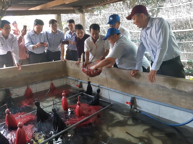 Nông dân Hậu Giang hưởng lợi nhờ học nghề nông