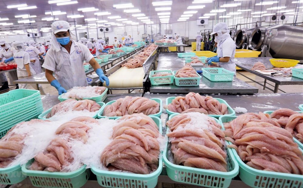 Chưa đến 40 tỉnh, thành phố có quan hệ xuất nhập khẩu với các nước thành viên CPTPP