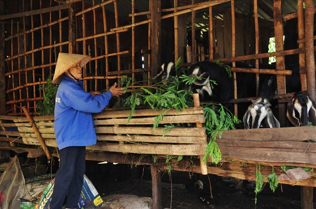 Phát triển chuỗi giá trị - 'đòn bẩy' giảm nghèo ở Lộc Ninh