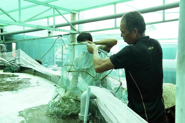 Chăm học nghề giúp người dân Châu Đức ‘đổi đời’