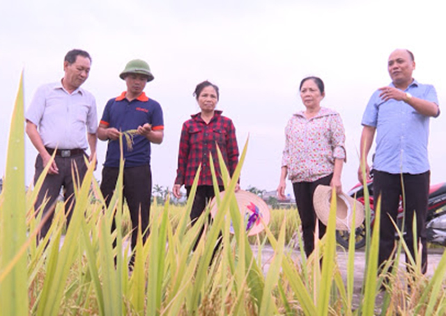 HTX đồng hành, giúp nông dân bứt lên nhờ sản xuất an toàn