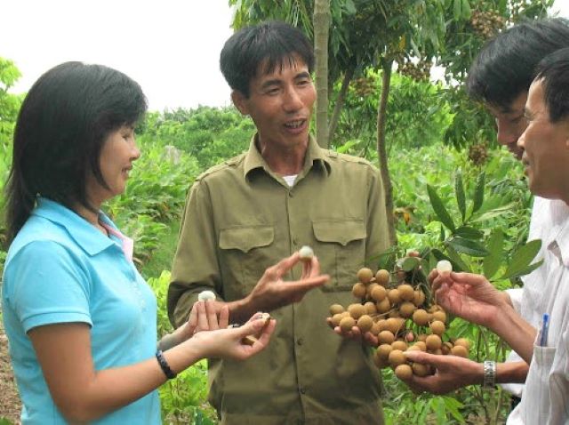 Khoái Châu tăng giá trị đặc sản để giảm nghèo bền vững