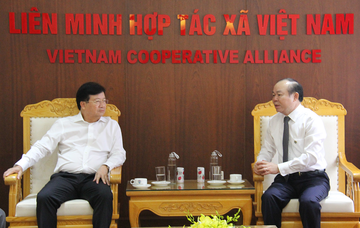 Tạo động lực phát triển KTTT, HTX vùng đồng bào DTTS và miền núi